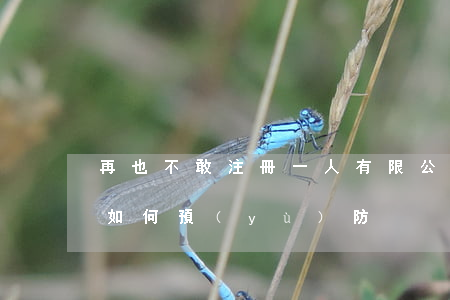 再也不敢注冊一人有限公司，連老婆都受牽連！如何預(yù)防？